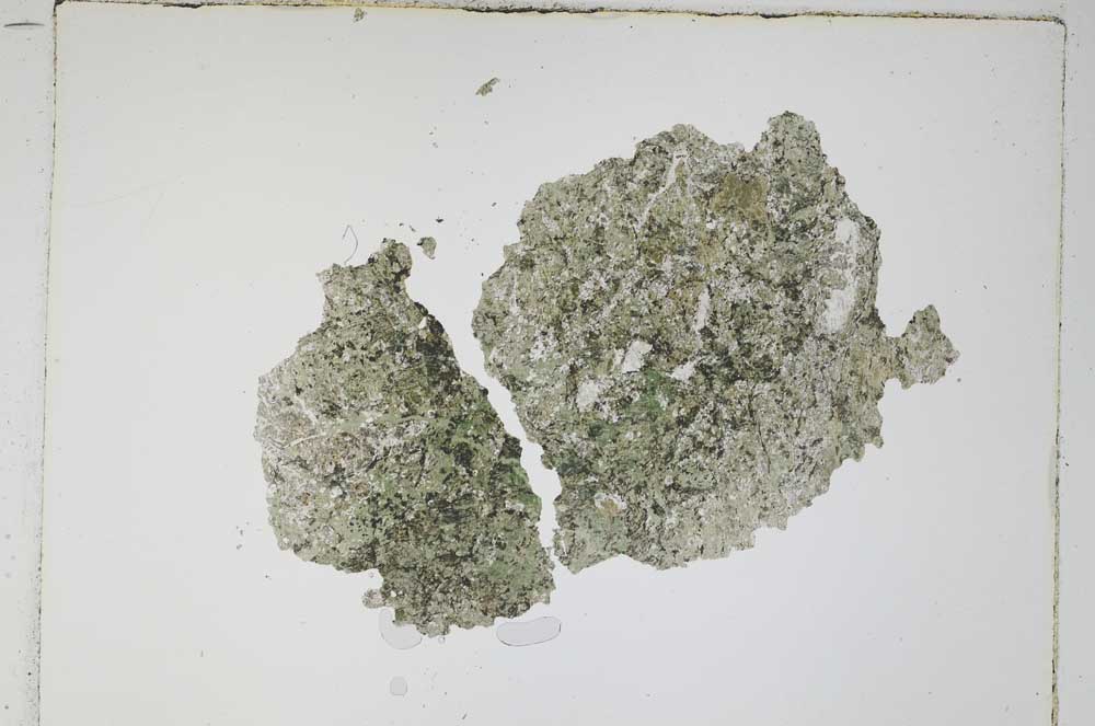 Plane Polarized, S4645