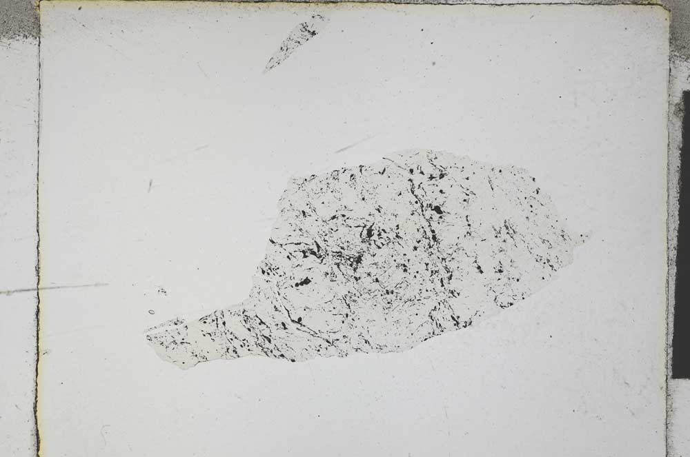 Plane Polarized, S4698