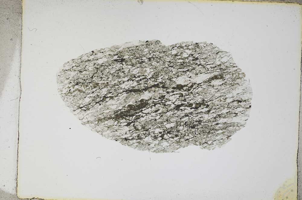 Plane Polarized, S4717