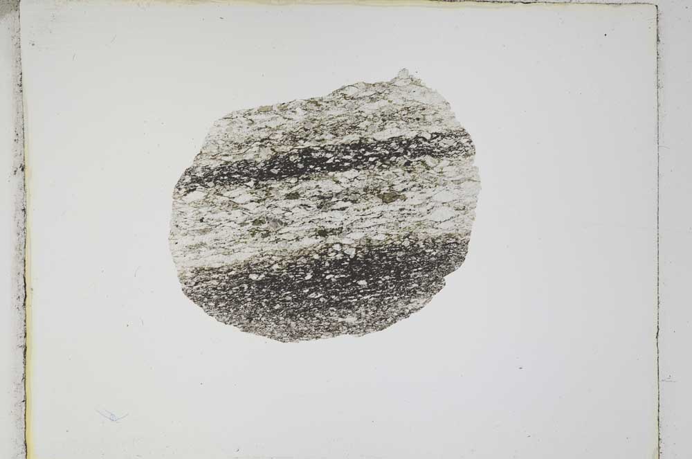 Plane Polarized, S4736