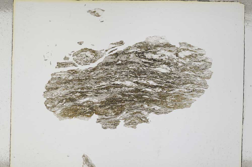 Plane Polarized, S4767