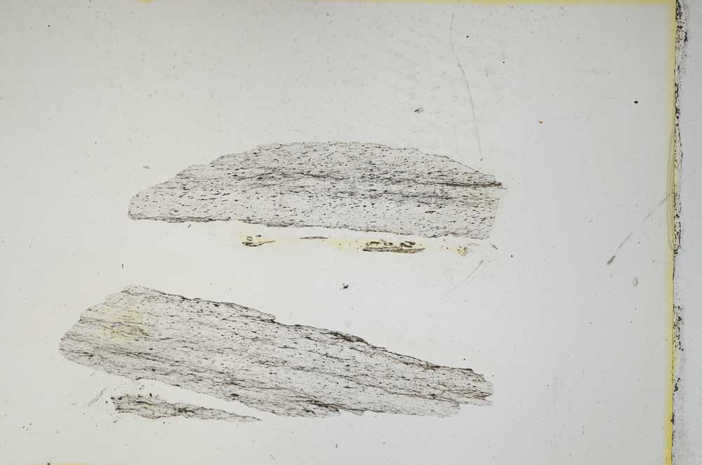 Plane Polarized, S4768