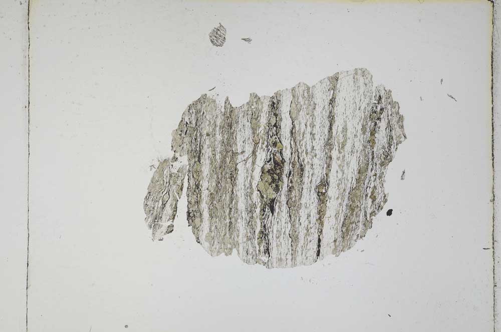 Plane Polarized, S4769