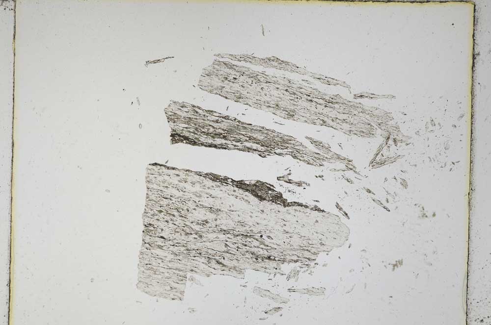 Plane Polarized, S4776