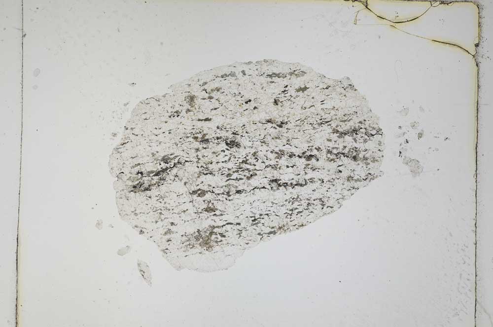 Plane Polarized, S4777