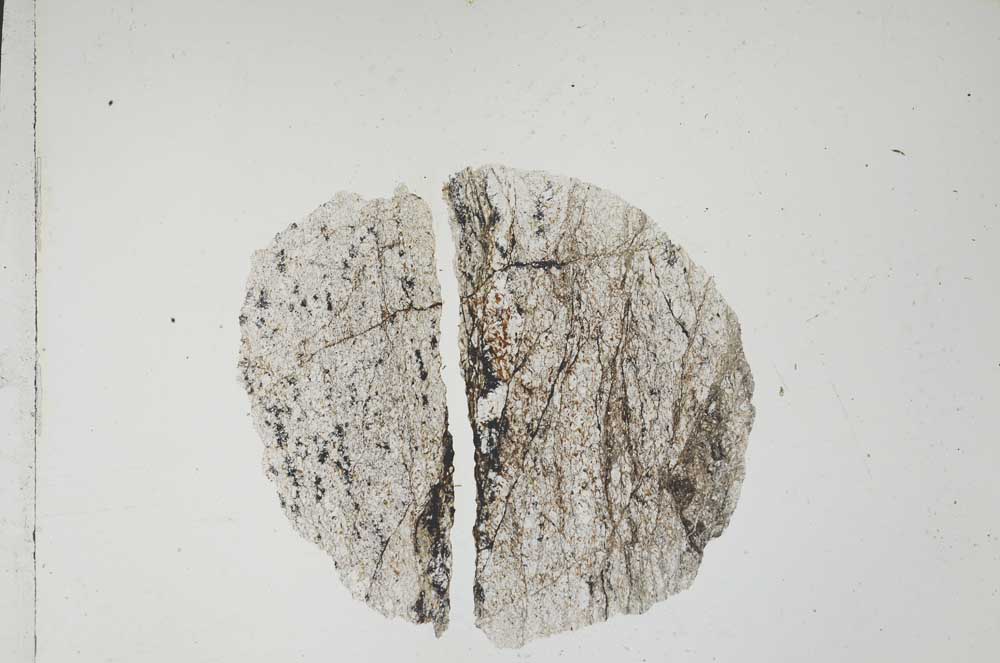 Plane Polarized, S4798