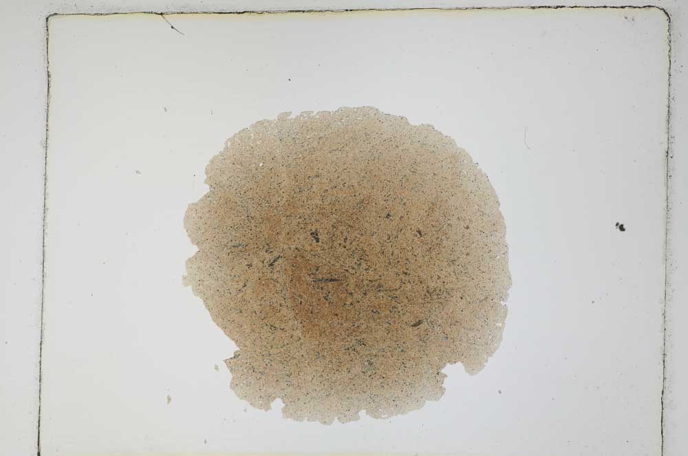 Plane Polarized, S4808