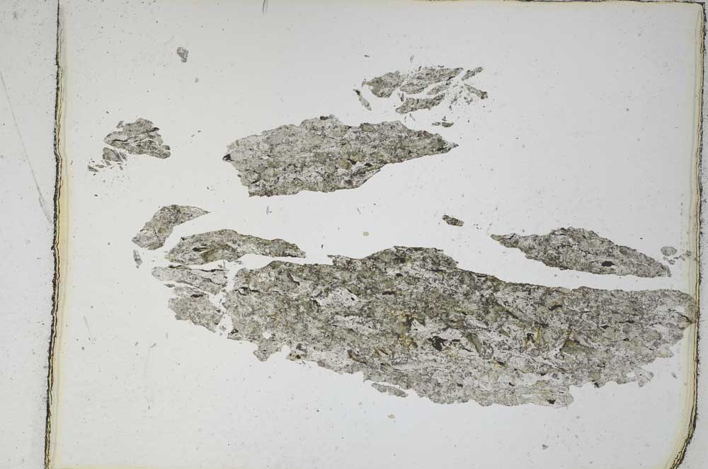 Plane Polarized, S4816