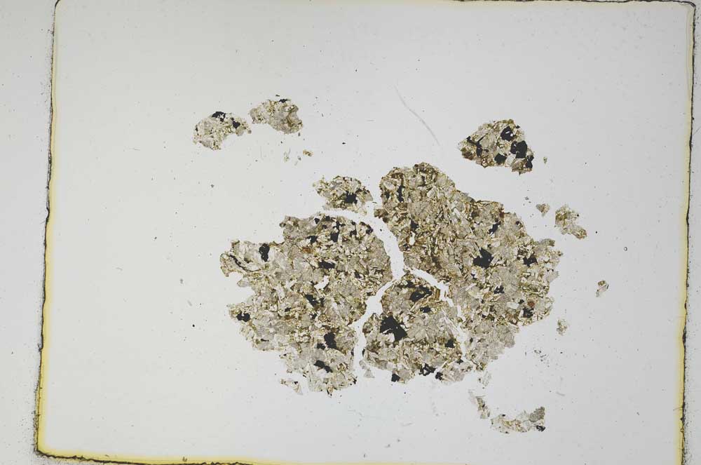 Plane Polarized, S4830