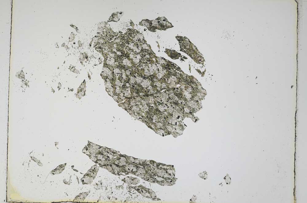 Plane Polarized, S4831