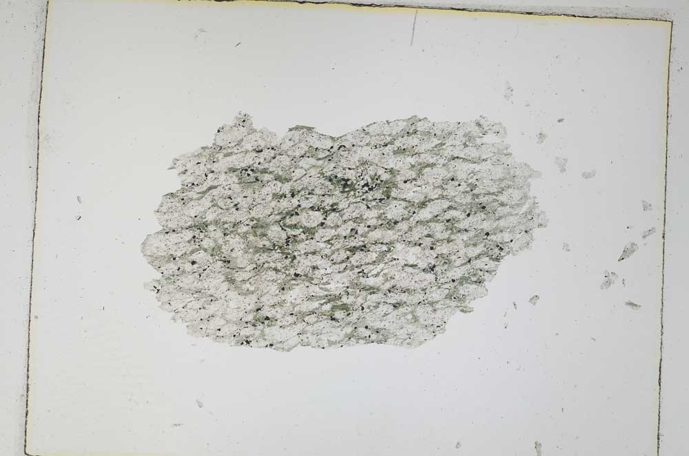 Plane Polarized, S4835