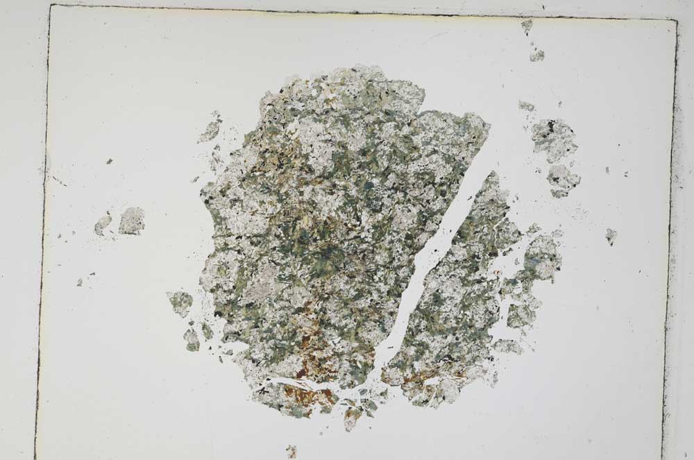 Plane Polarized, S4836