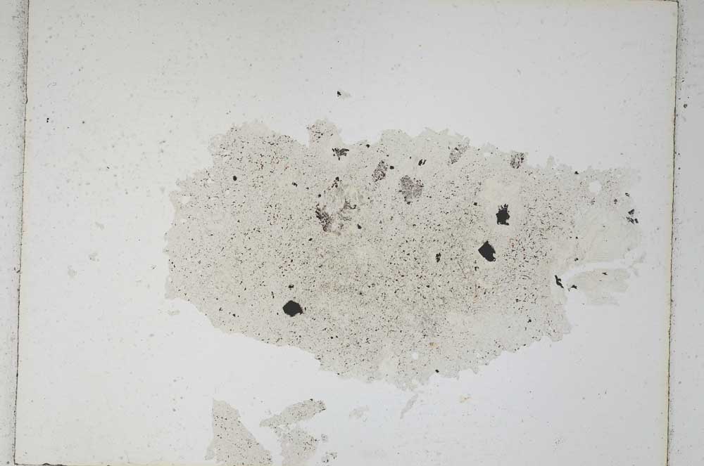 Plane Polarized, S4837