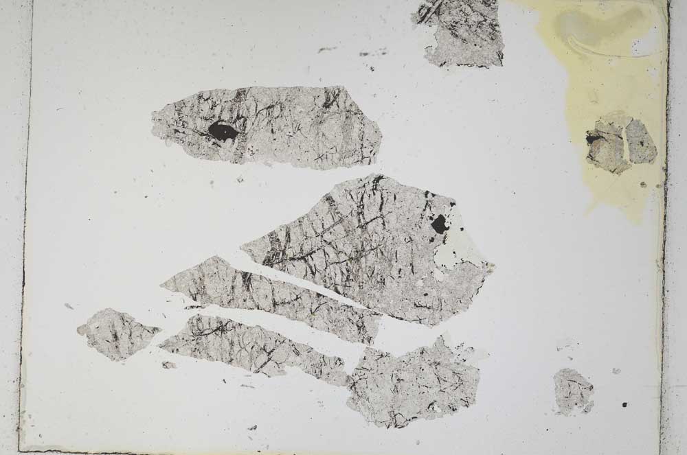 Plane Polarized, S4838