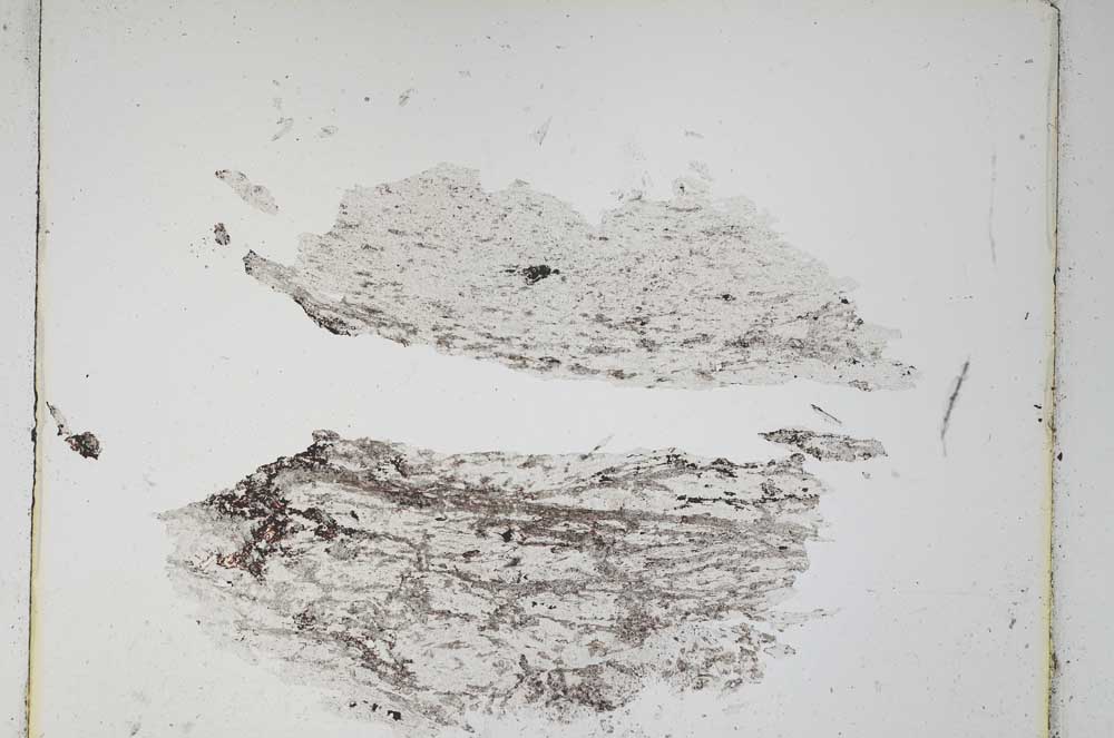 Plane Polarized, S4839
