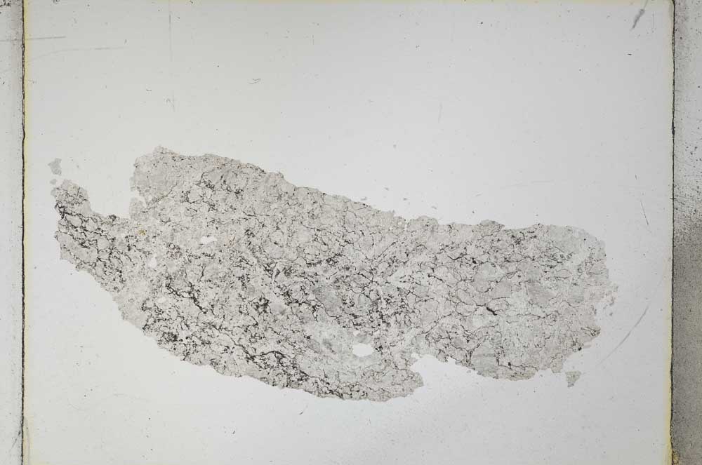 Plane Polarized, S4841