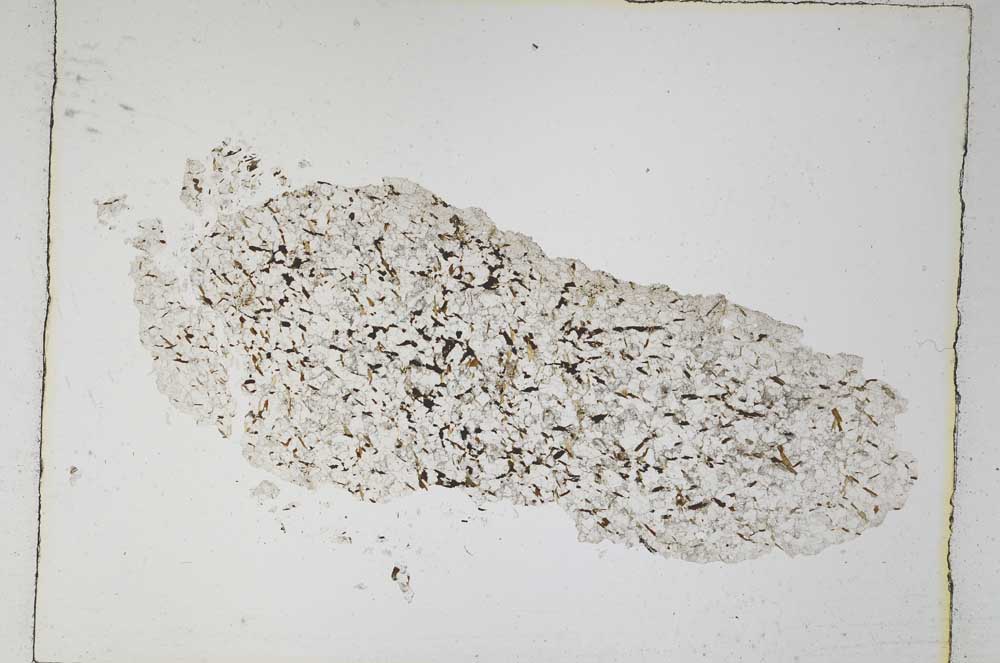 Plane Polarized, S4849