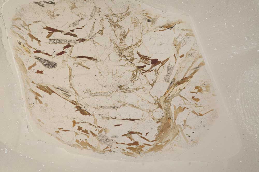 Plane Polarized, S4851