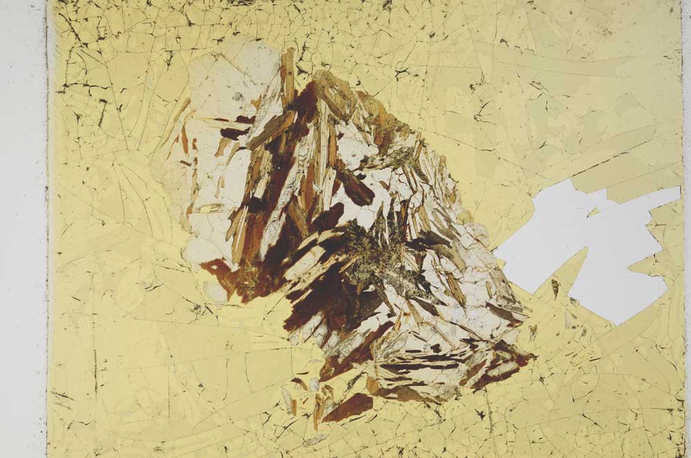 Plane Polarized, S4851/a