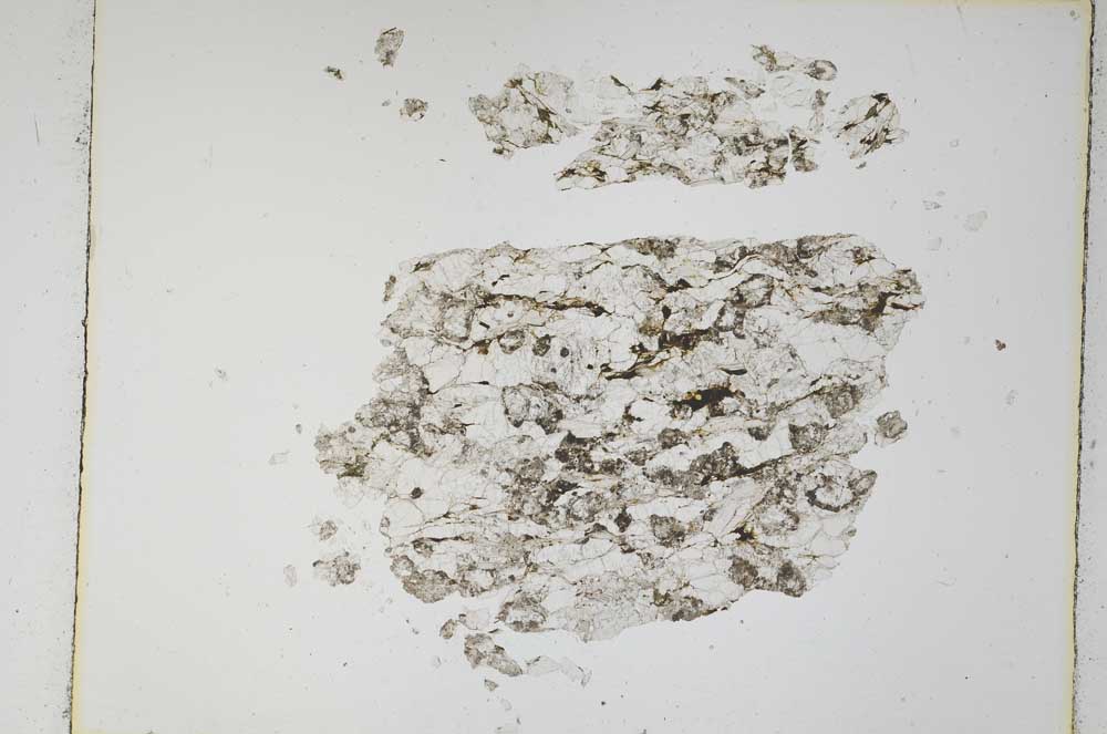 Plane Polarized, S4857