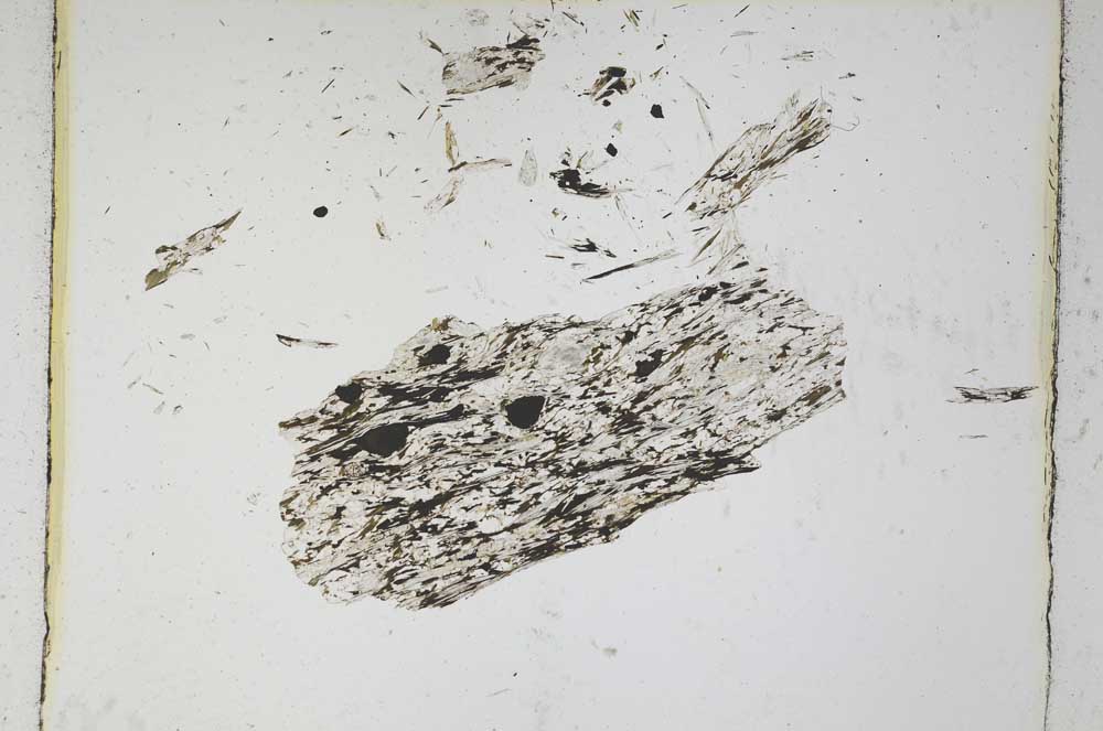 Plane Polarized, S4865