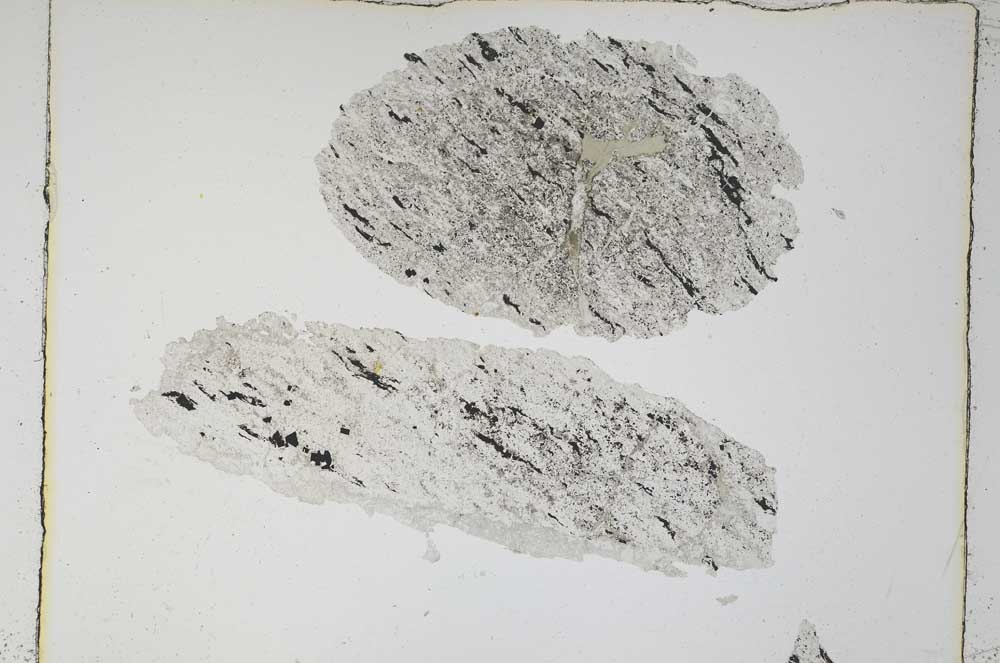 Plane Polarized, S4867