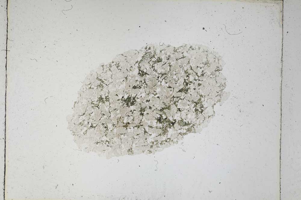 Plane Polarized, S4898