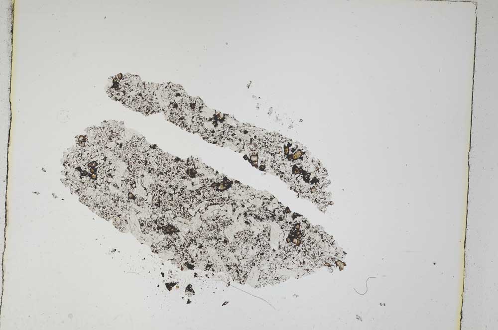 Plane Polarized, S4899