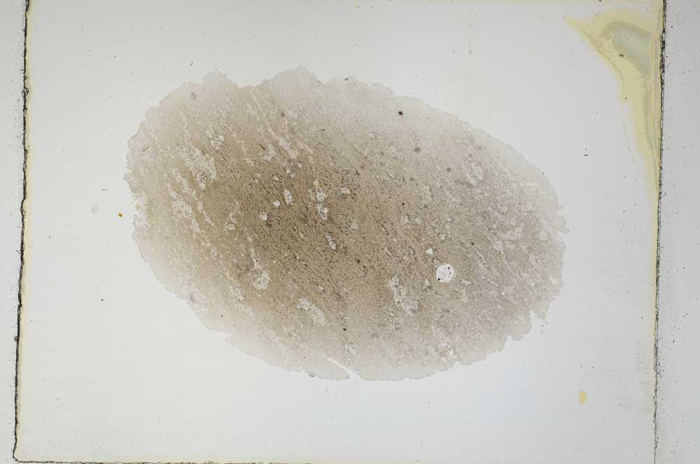 Plane Polarized, S4905