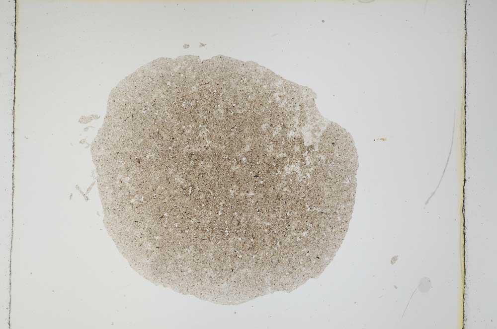 Plane Polarized, S4907