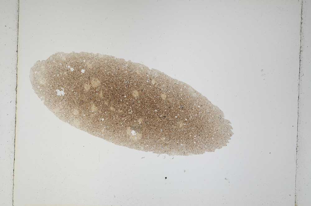 Plane Polarized, S4908