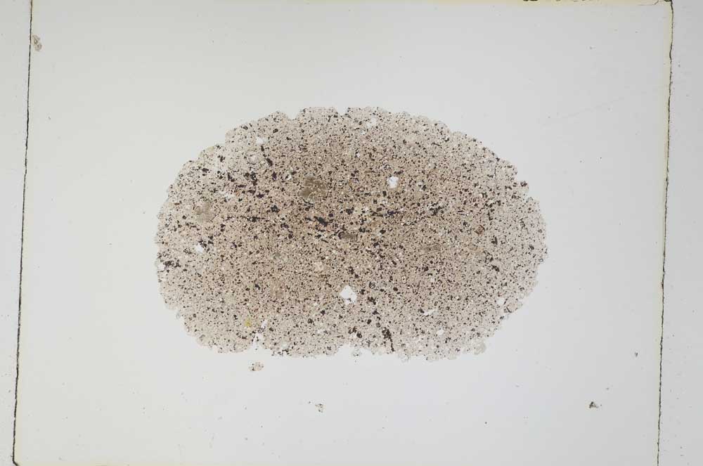 Plane Polarized, S4909