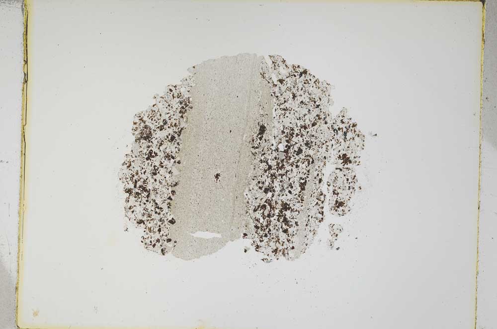 Plane Polarized, S4910