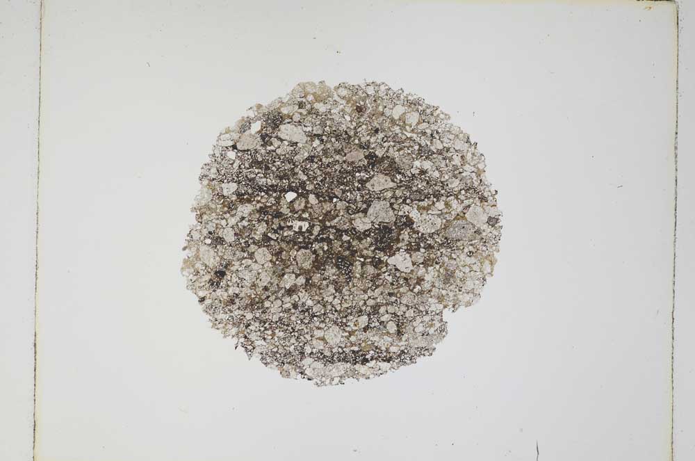 Plane Polarized, S4911