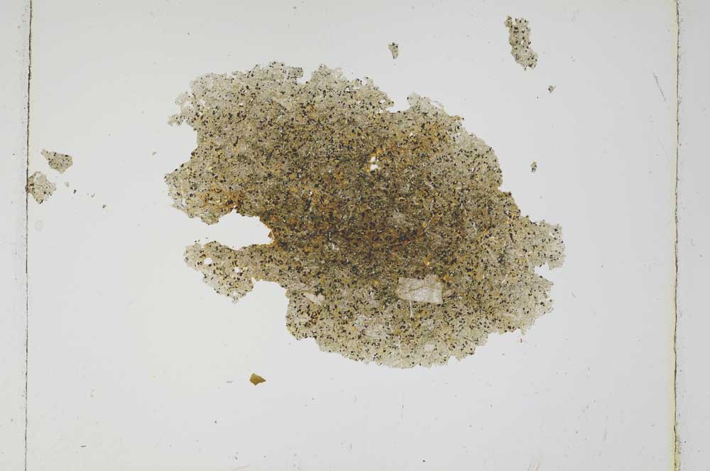 Plane Polarized, S4914