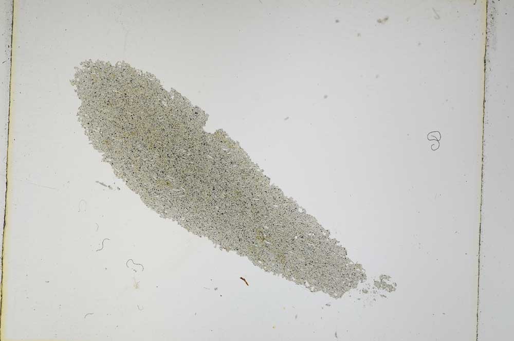 Plane Polarized, S4915