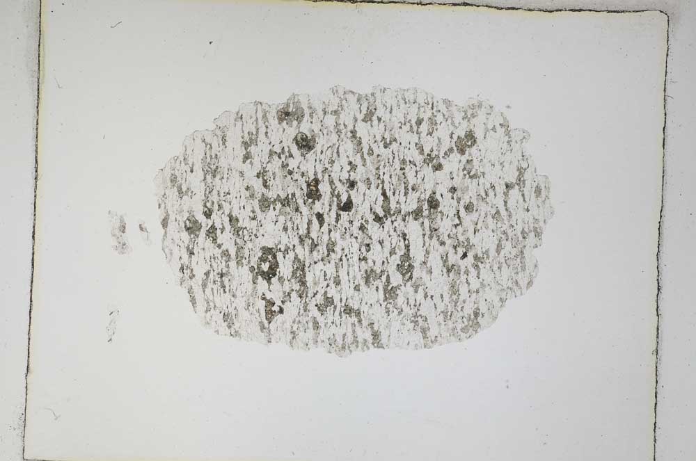 Plane Polarized, S4947