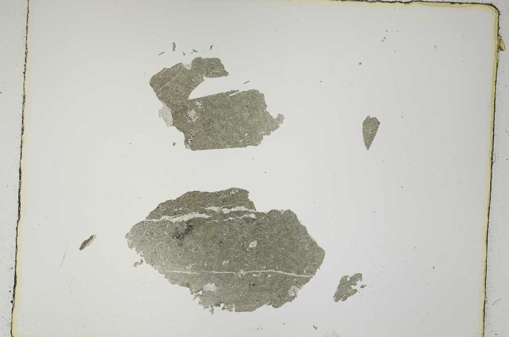 Plane Polarized, S4981