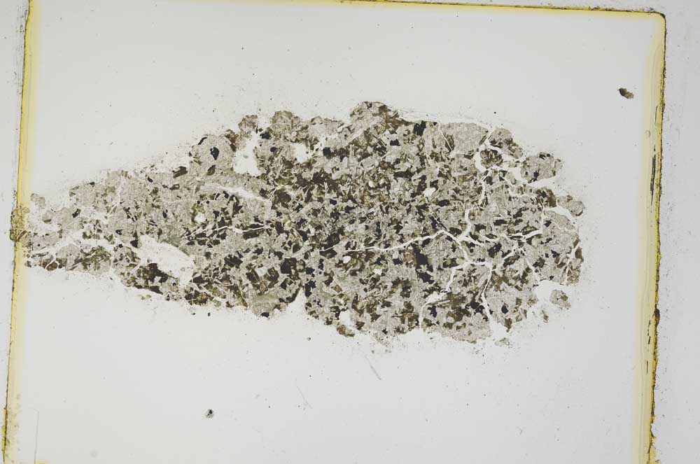 Plane Polarized, S4998