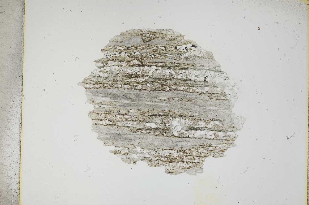 Plane Polarized, S5003