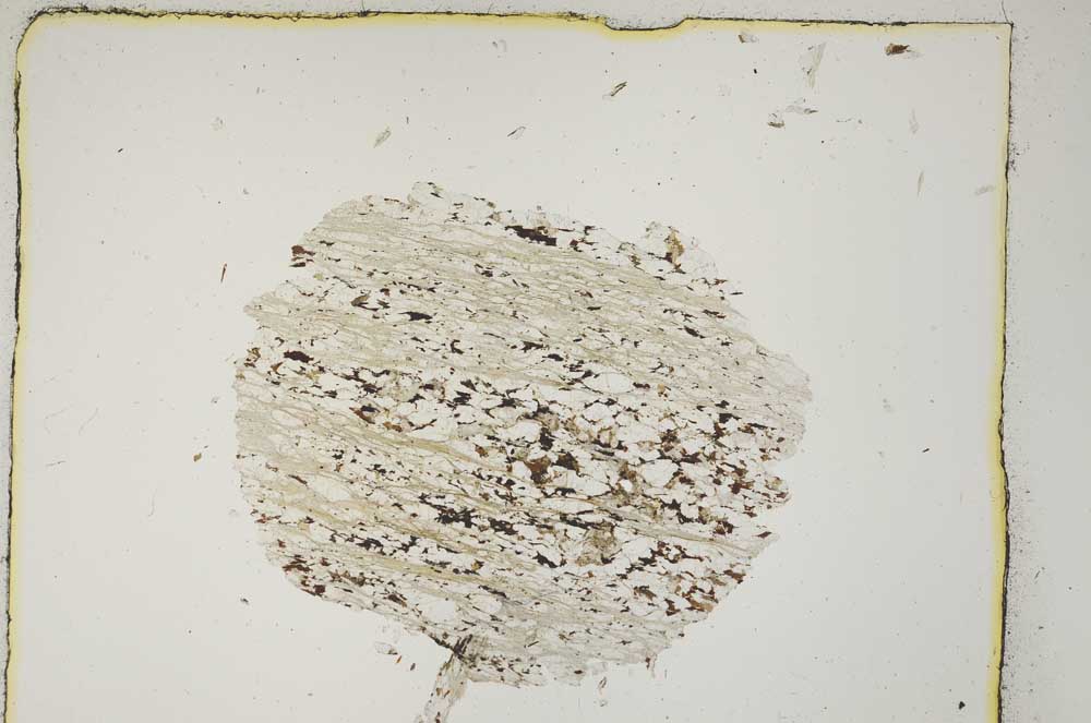 Plane Polarized, S5042