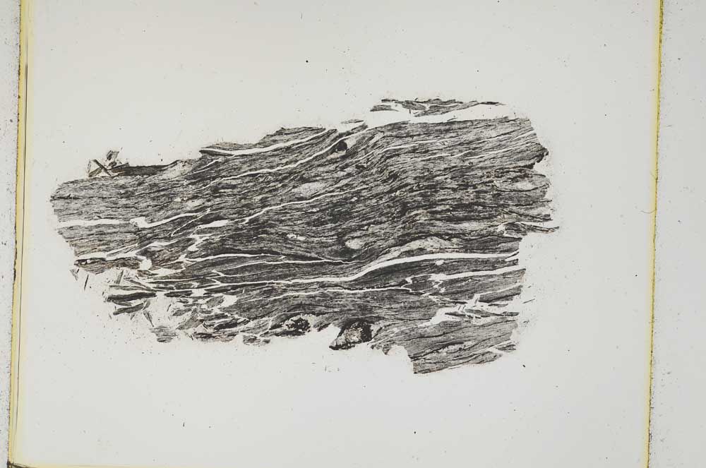 Plane Polarized, S5054