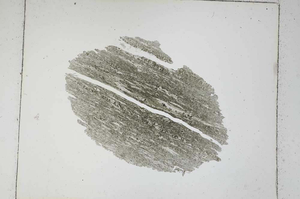 Plane Polarized, S5094