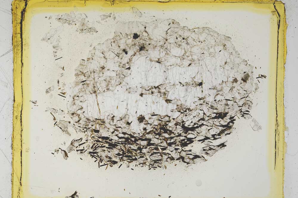 Plane Polarized, S5111