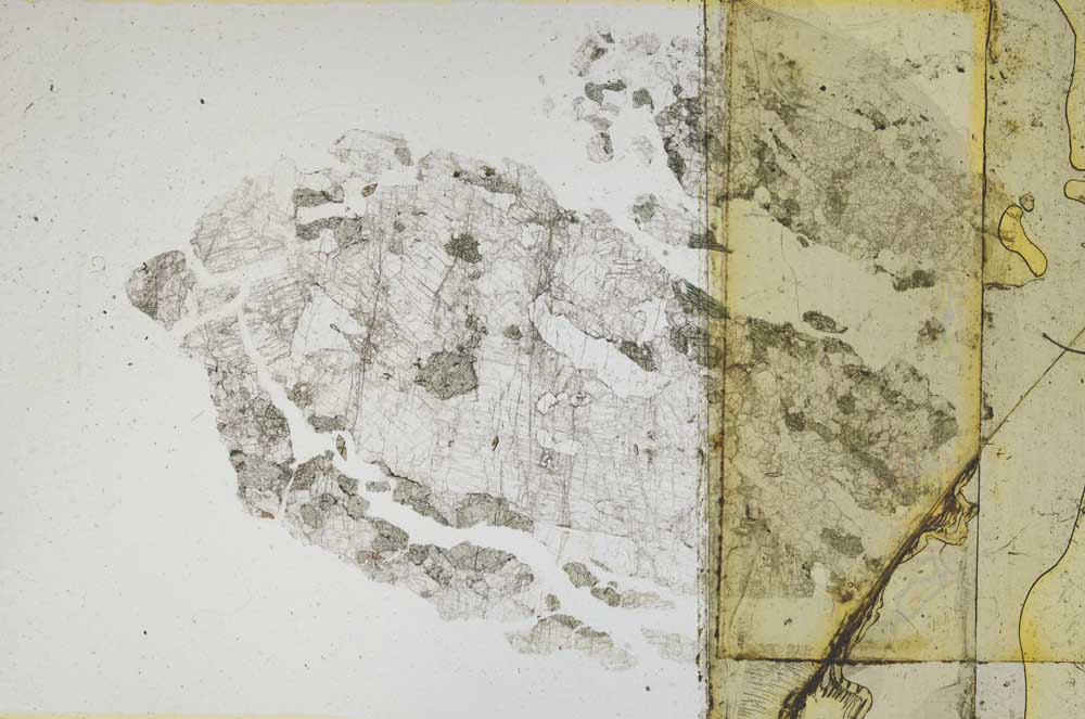 Plane Polarized, S5161