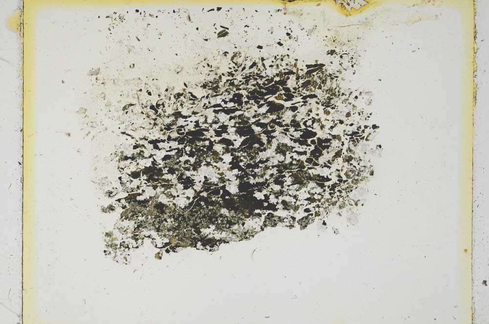 Plane Polarized, S5162