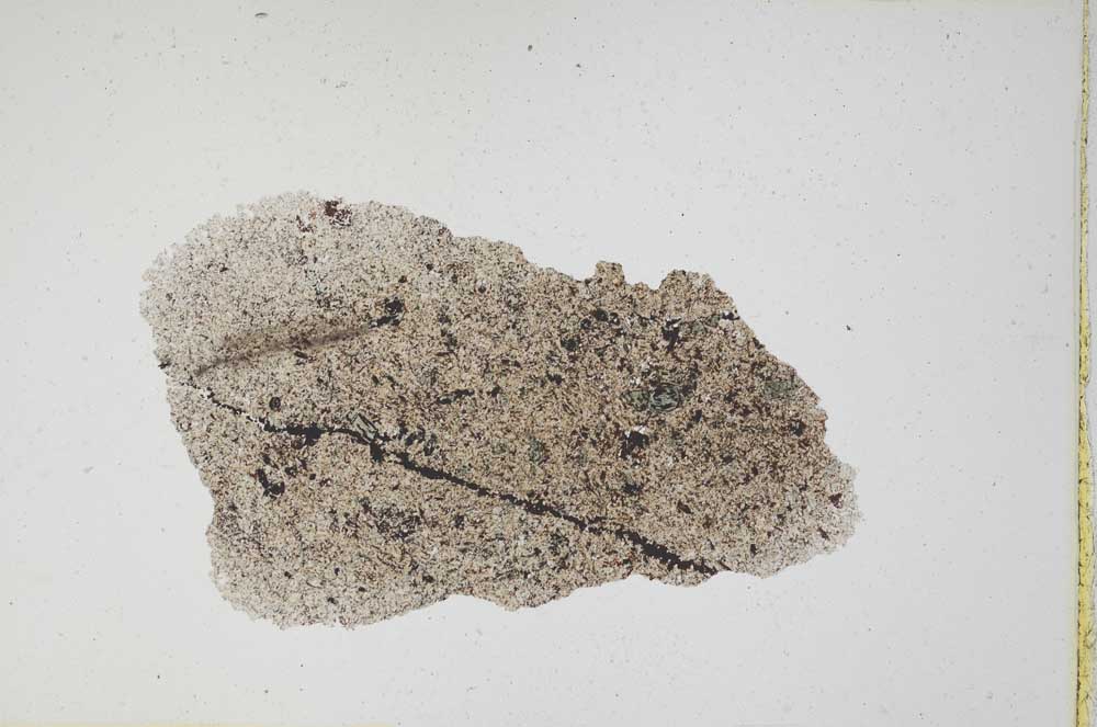 Plane Polarized, S5198