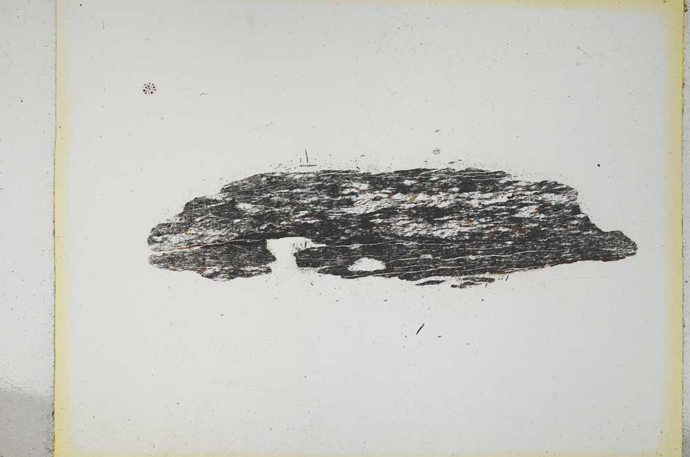 Plane Polarized, S5204/a