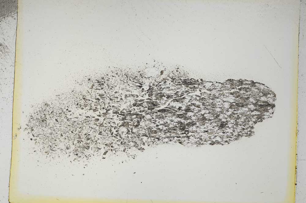 Plane Polarized, S5207