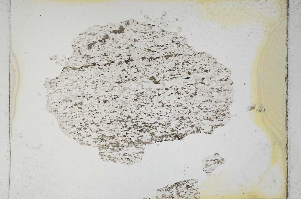 Plane Polarized, S5219